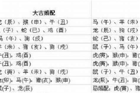 97年属啥|1997年属什么生肖 1997年的属相是什么命